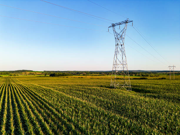 Drone view of corn beneath a high voltage power line