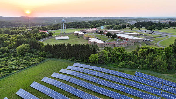 Aerial view of solar panels consolidated across green fields at sunrise, with low-rise buildings behind trees