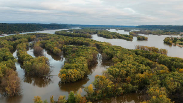 Aerial view of bottomland forests, open water, and wetlands